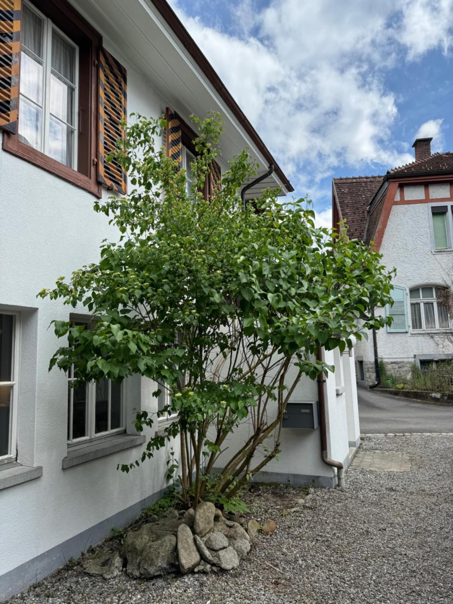 Garden House Villa Interlaken Exterior photo